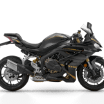 QJ MOTOR SRK 800 RR — photo 2